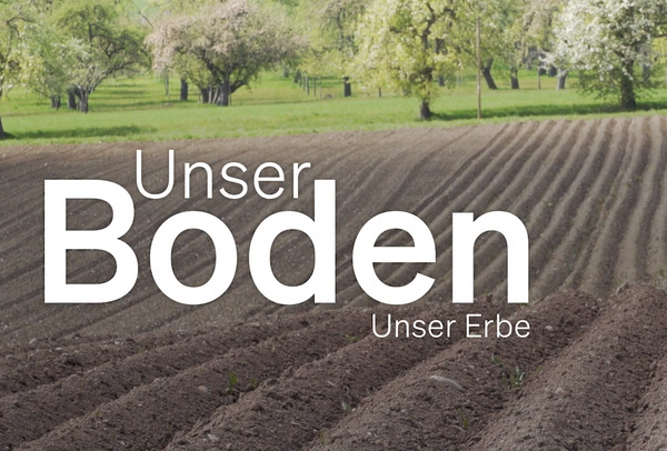 Quelle: wfilm